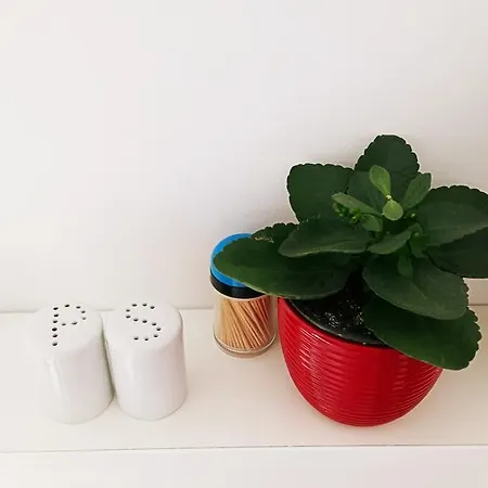 月神公寓酒店 公寓 杜布罗夫尼克